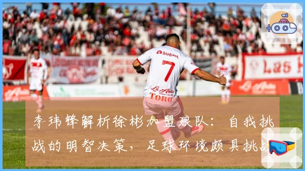 李玮锋解析徐彬加盟狼队：自我挑战的明智决策，足球环境颇具挑战性