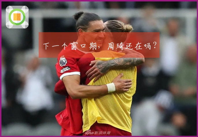 下一个窗口期，周琦还在吗？