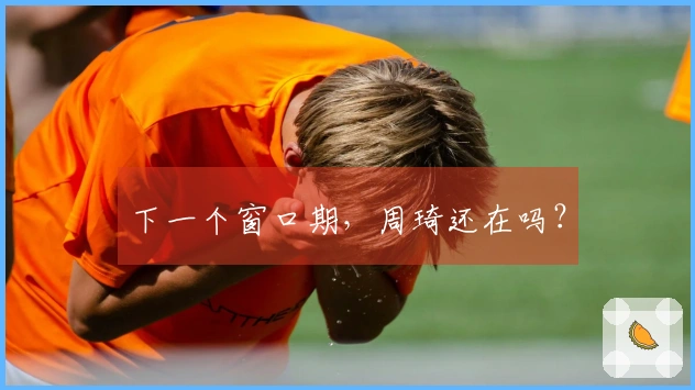 下一个窗口期，周琦还在吗？