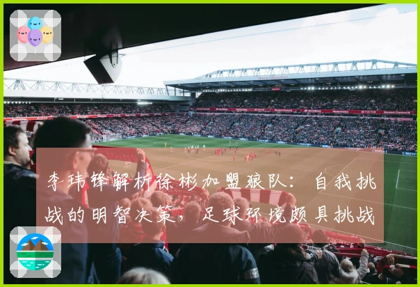 李玮锋解析徐彬加盟狼队：自我挑战的明智决策，足球环境颇具挑战性